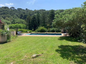 Villa d’architecte avec piscine entre vignes et forêt